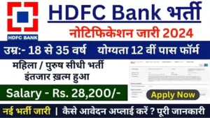 HDFC Bank Finance and Insurance Data Entry Apply