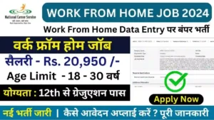 Finance and Insurance Sector Work From Home Data Entry