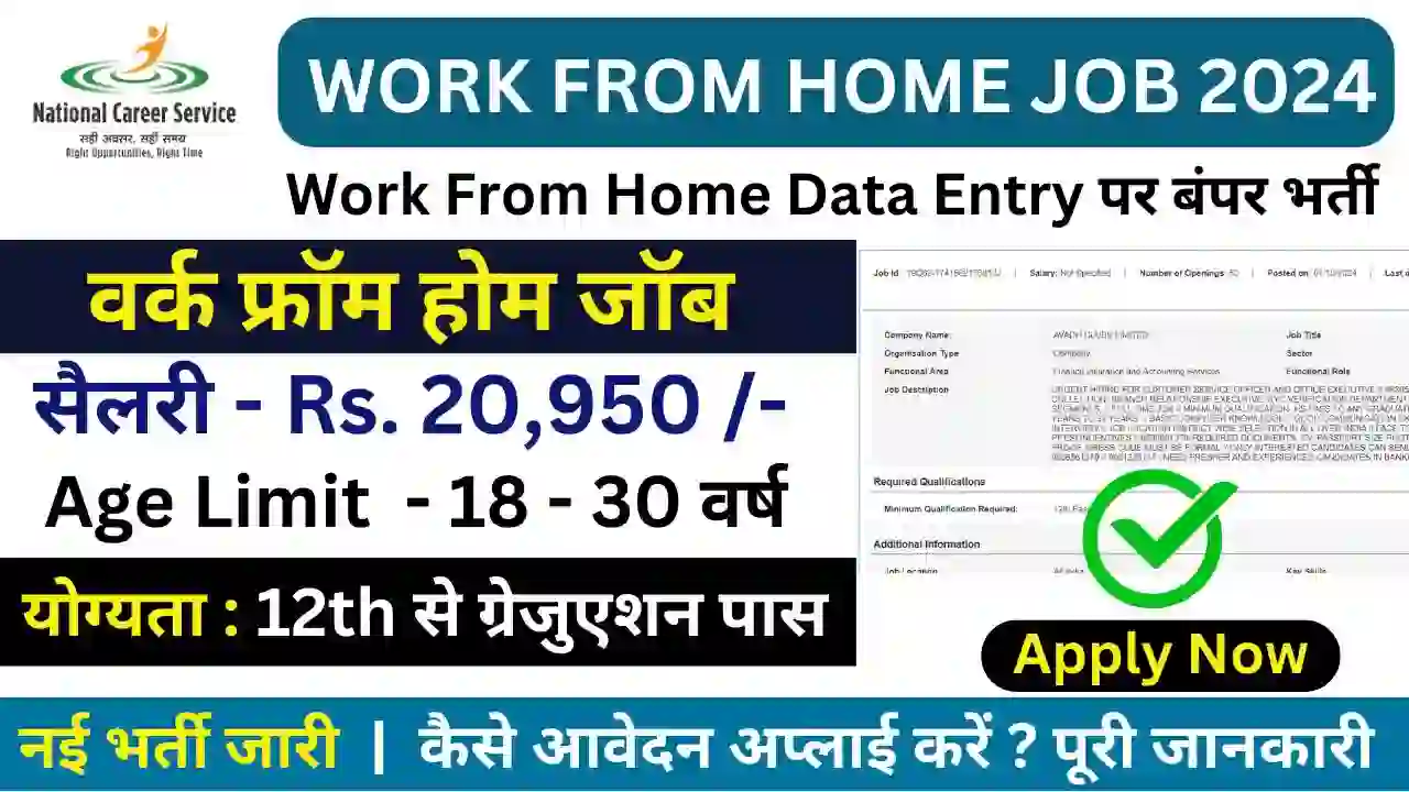 Finance and Insurance Sector Work From Home Data Entry