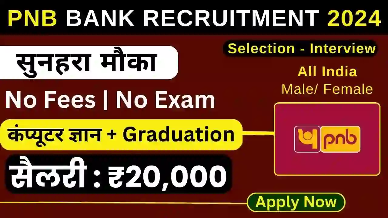 PNB Office Assistant Bharti High Paying Work